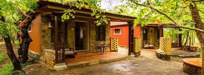 1832/The Windflower Tusker Trails - Bandipur 09.jpg